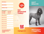 Owner Education Brochures - Soft Braces