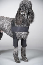 Canine Protective Elbow Sleeve