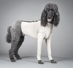 Surgi-Sox Torso w/ Forelimb Leggings - Step-In