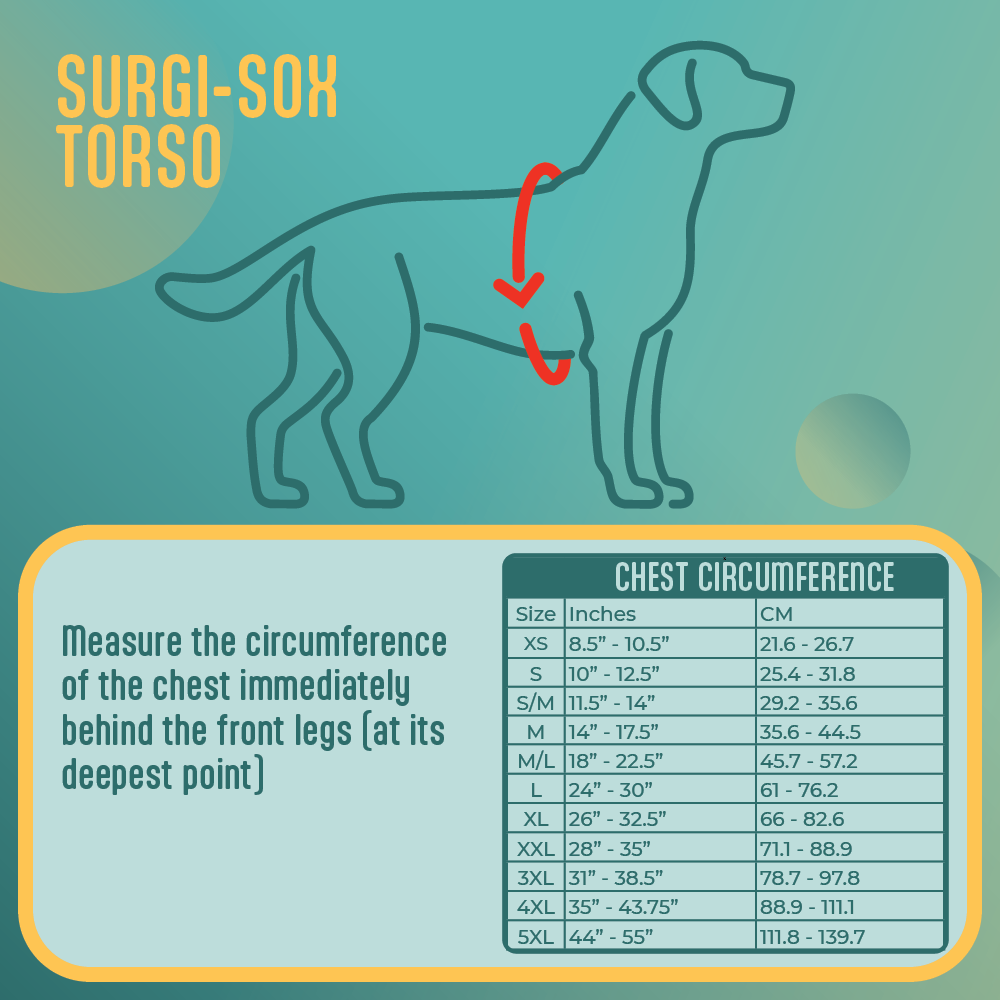 Surgi-Sox Torso