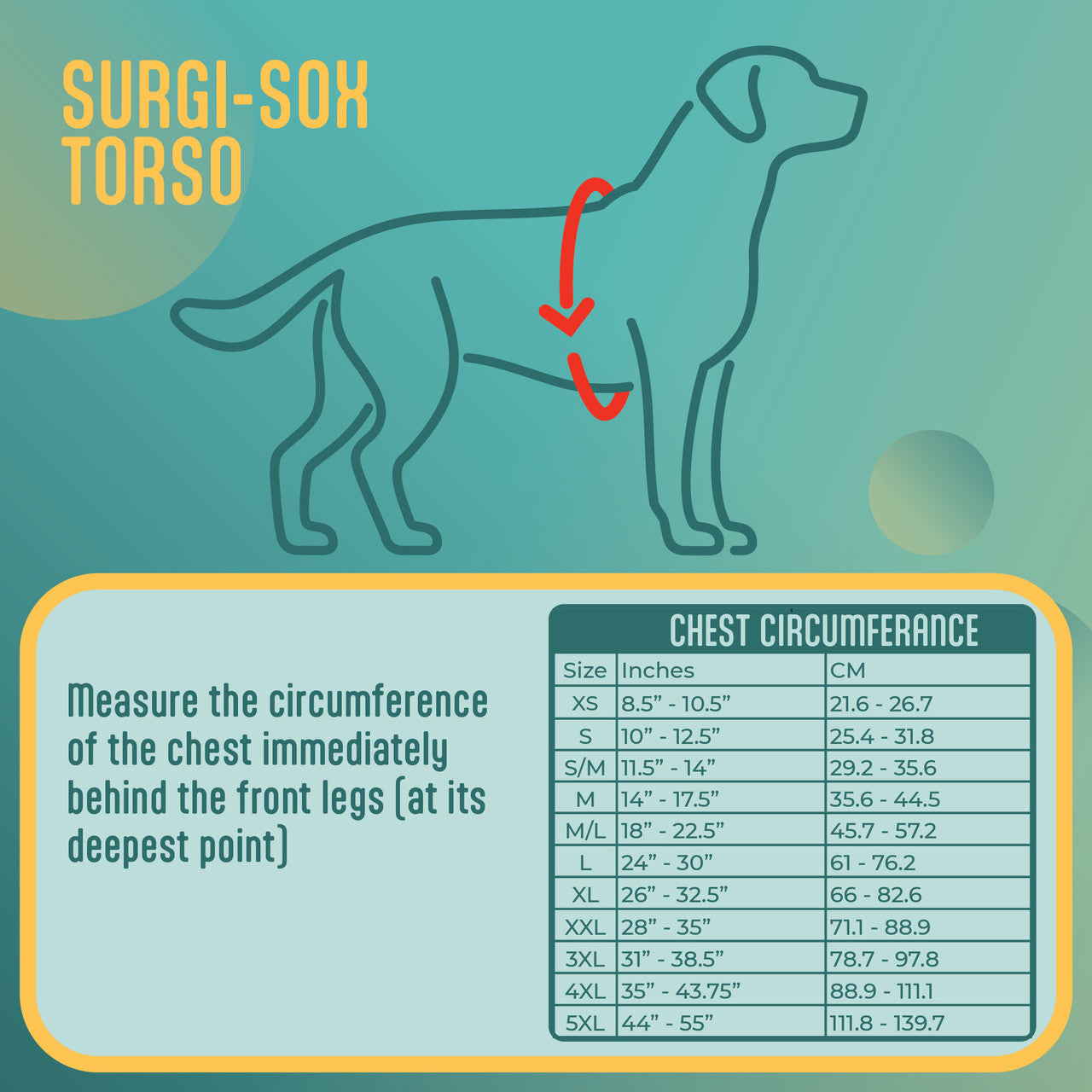 Surgi-Sox Torso - Step-In | Antimicrobial Fabric