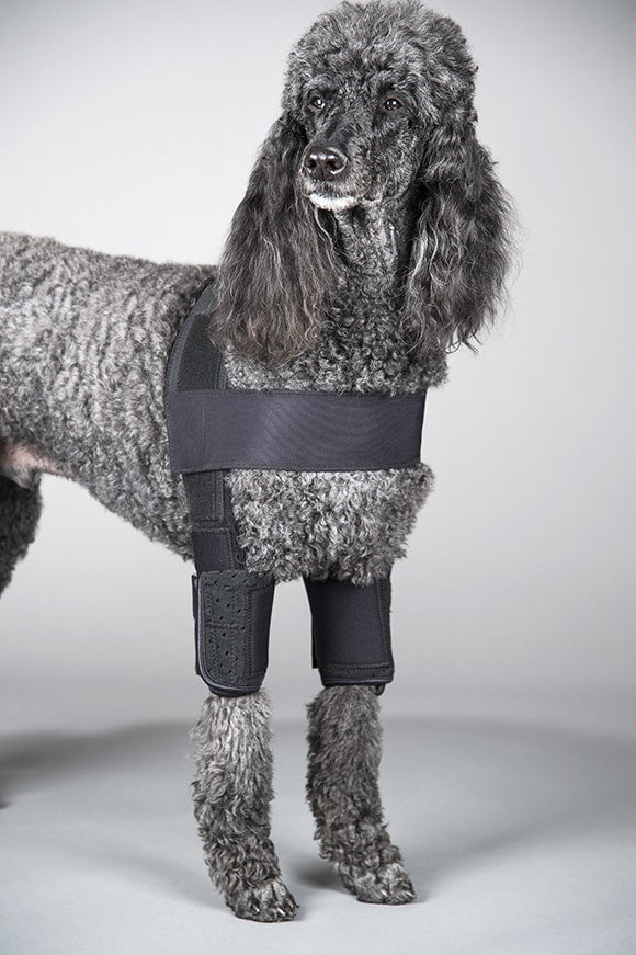Standard Length Adjustable DogLeggs - Elbow Callus Protection