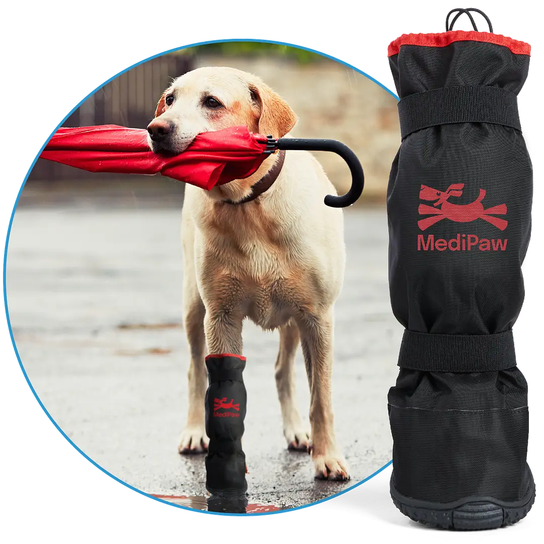 Ultimate [Fast-Fit Canine Kit]