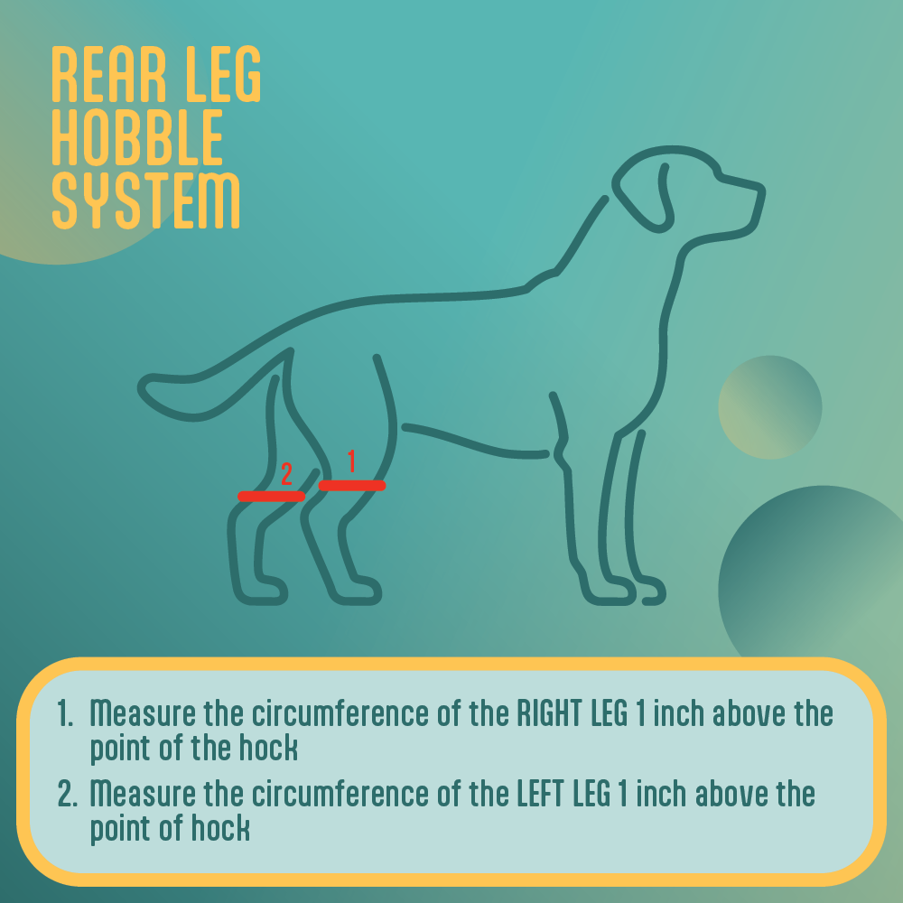 Rear Leg Hobble System