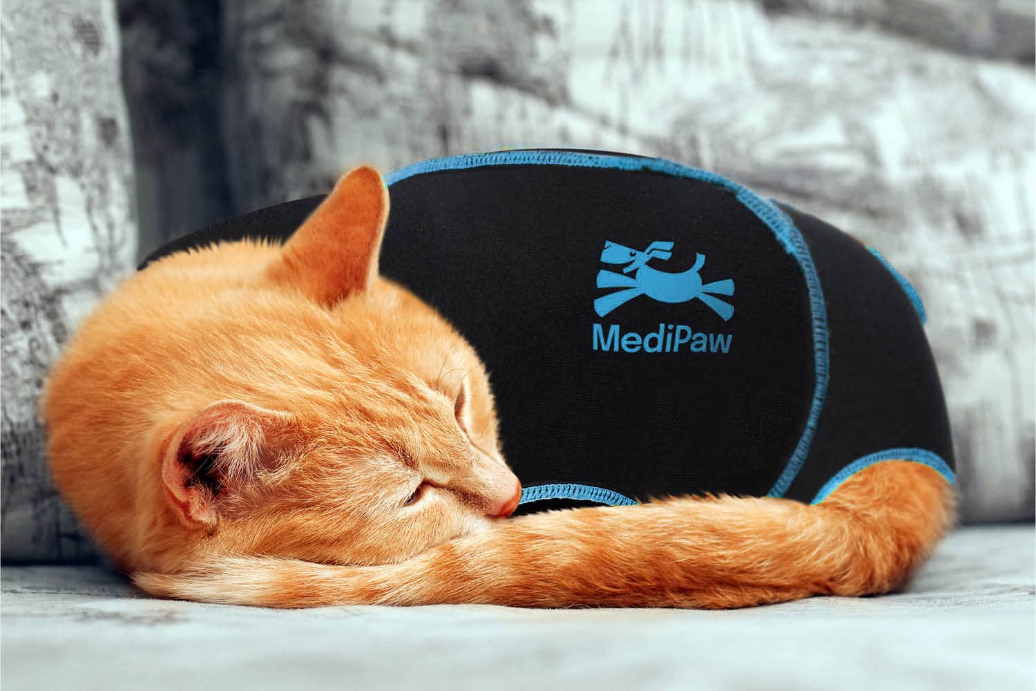 MediPaw Cat Suit