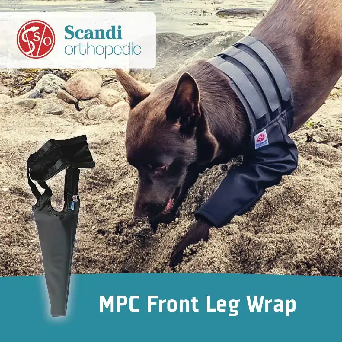 Scandi Orthopedic MPC Front leg