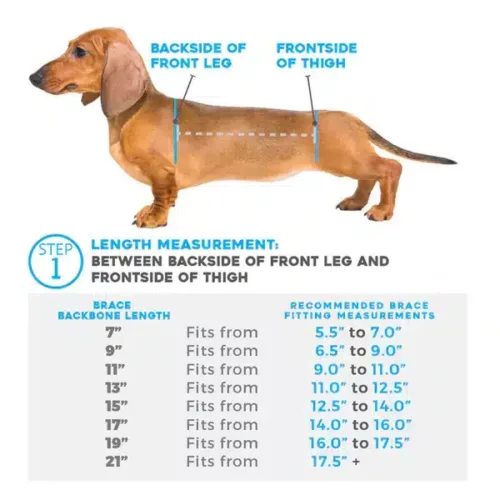 Measuring Chart for WiggleLess