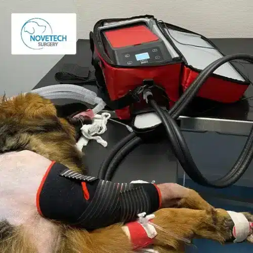Dog laying on counter post-op wearing a stifle cryo sleeve hooked up to cryotherapy pump